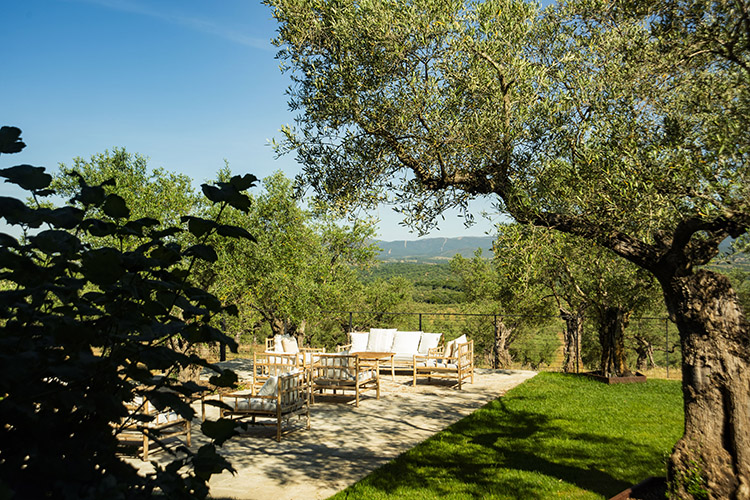 HCN rincon leer libro campo