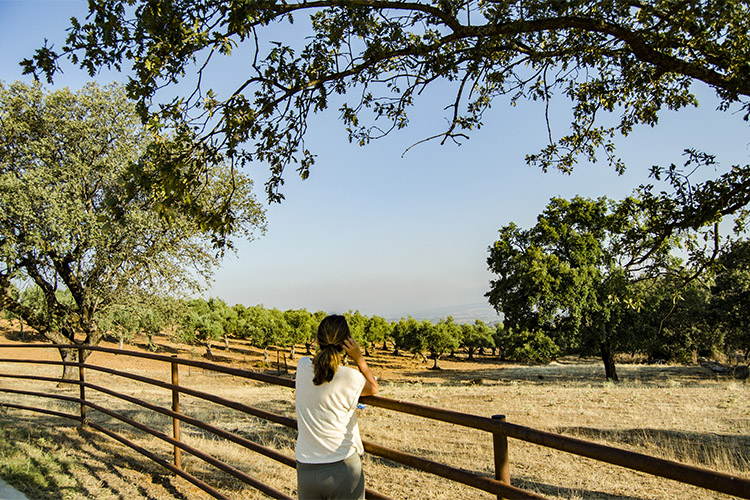 HCN ruta aceite gata finca