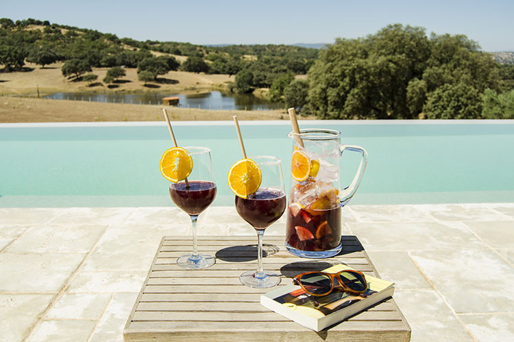 libro leer campo piscina