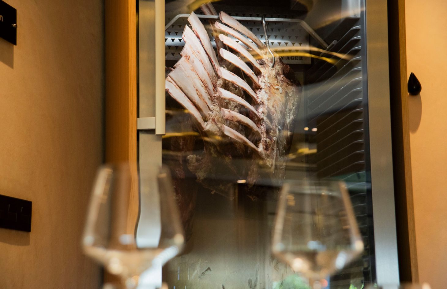 Restaurante Hábitat Cigüeña Negra