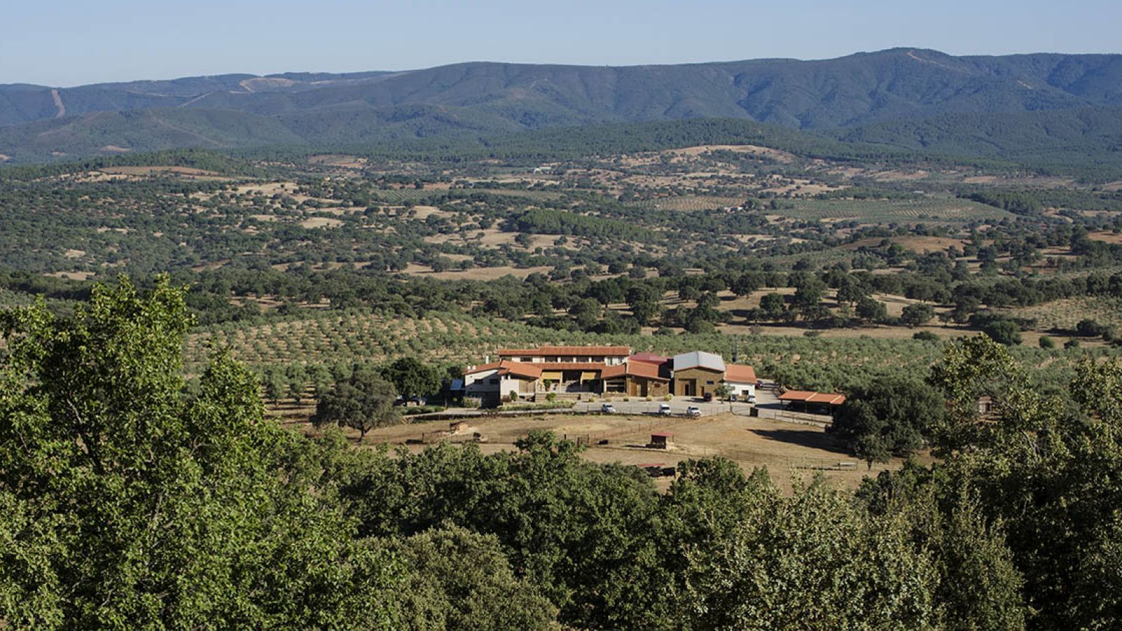 ¿Resides en Ibiza?: Cambia el mar por el sosiego del campo extremeño
