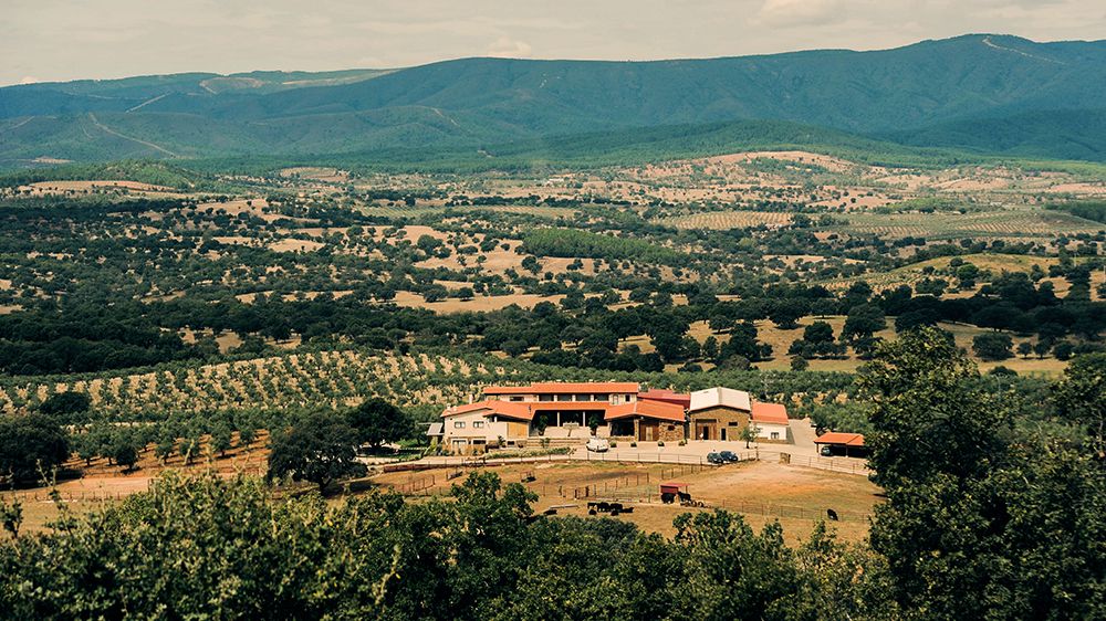 10 ideas para un fin de semana en una finca en Cáceres