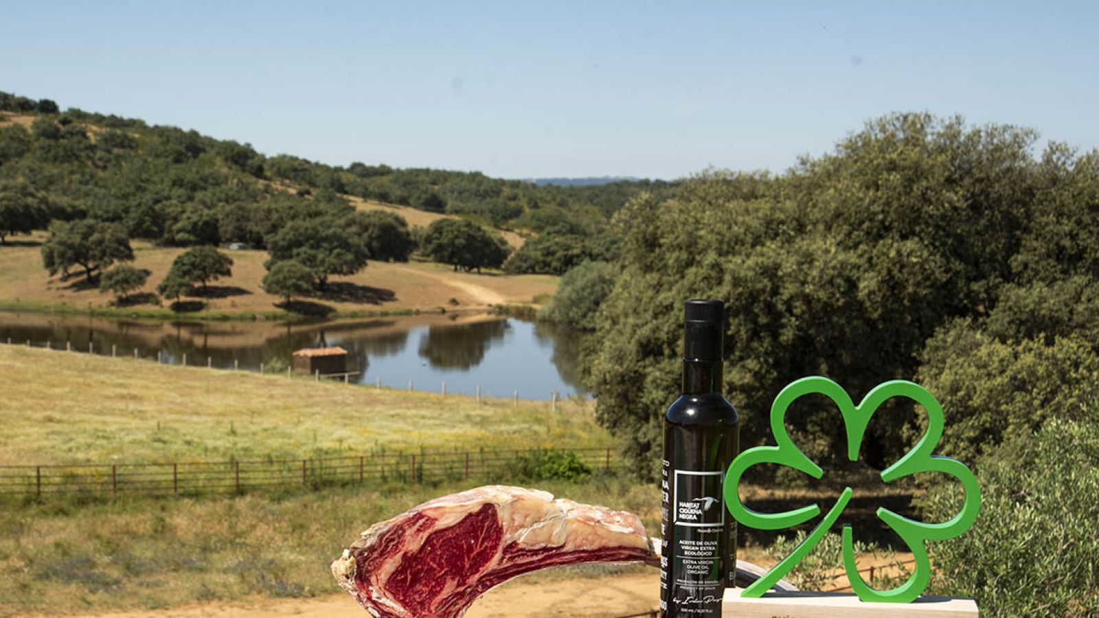 Un año más, la Estrella Verde nos acompaña