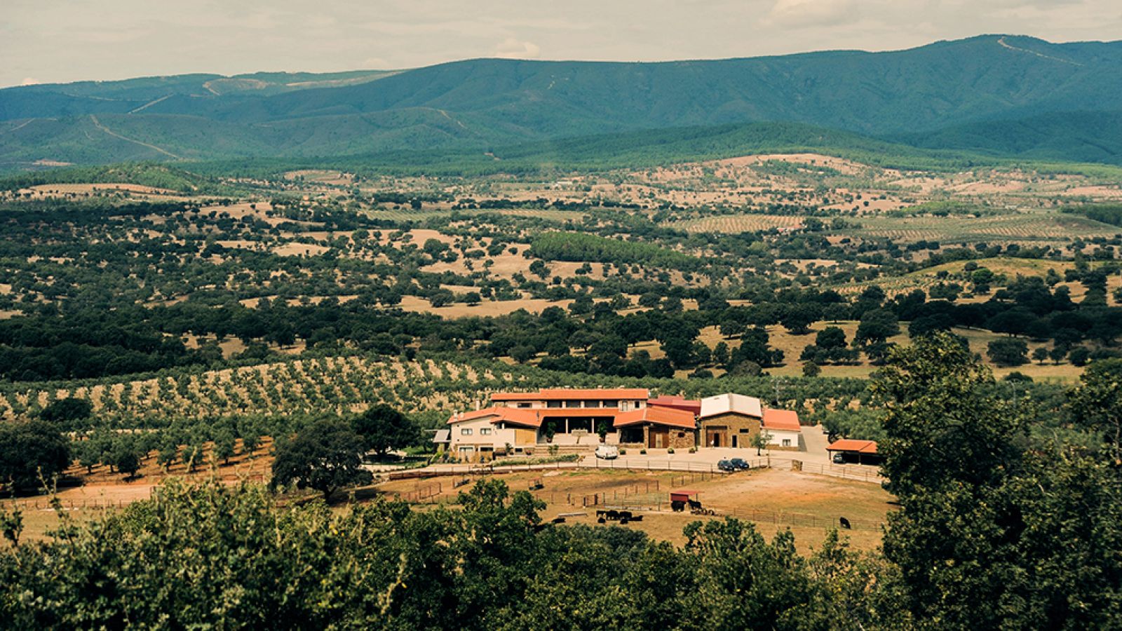 10 ideas para un fin de semana en una finca en Cáceres