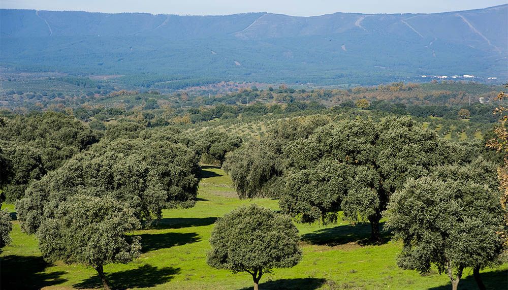 ¿Qué tiempo hace en Sierra de Gata?