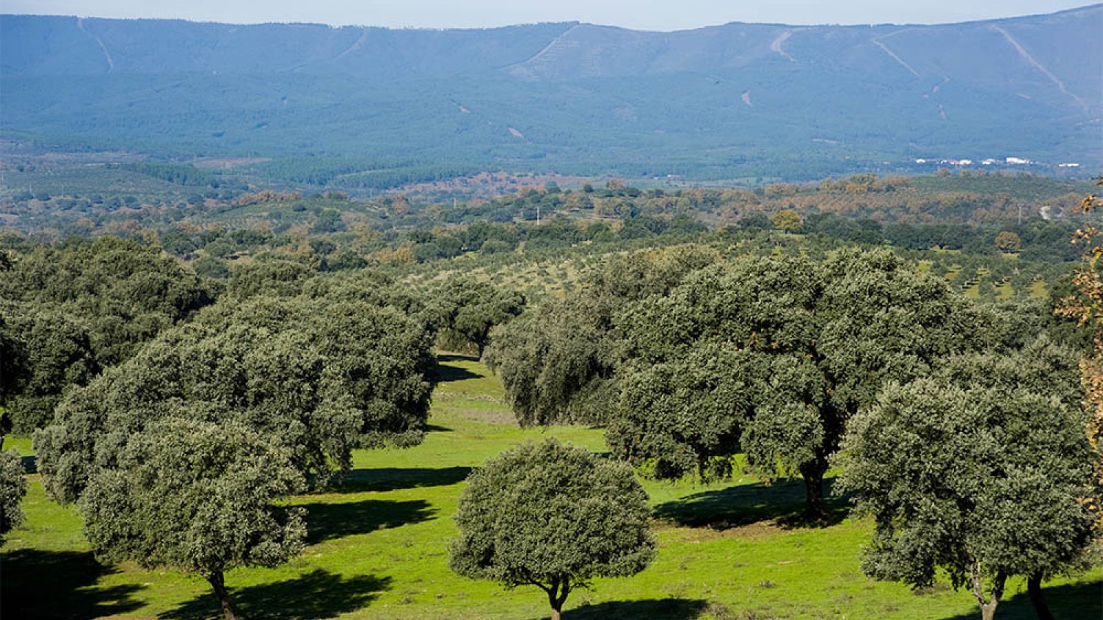 ¿Qué tiempo hace en Sierra de Gata?